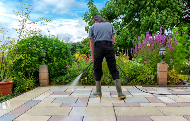 Best Sidewalk and Walkway Cleaning  in Sweeny, TX